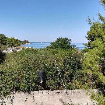 In - Insel 7464 Ugljan