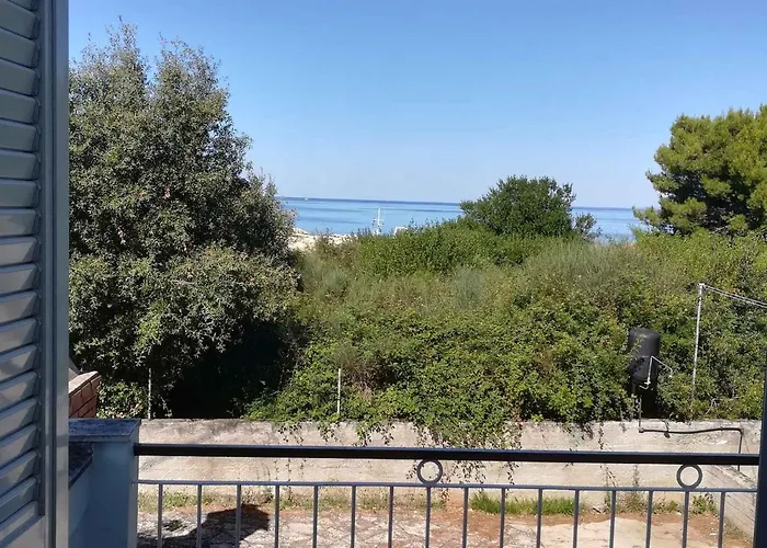 In - Insel 7464 Ugljan
